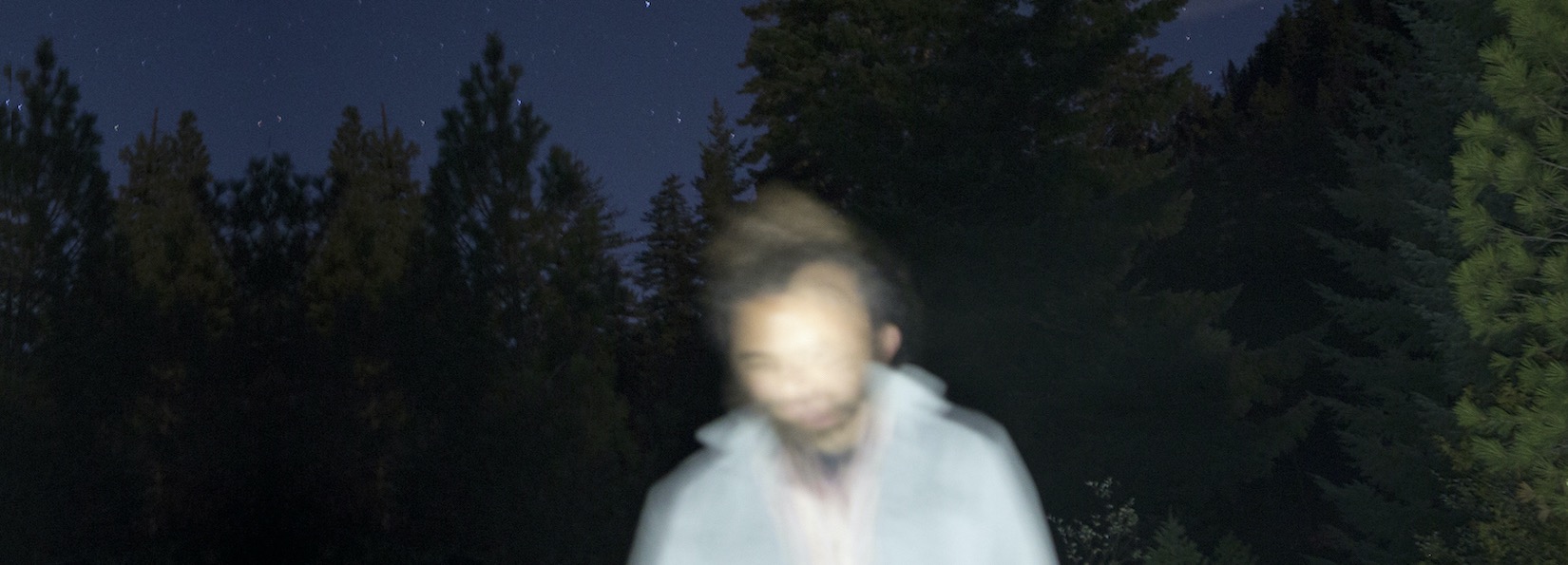 Briars of North America